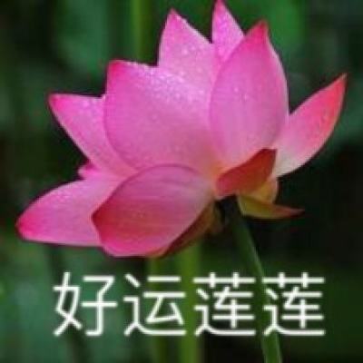 急速冲击免谷歌破解版(smashhit)下载